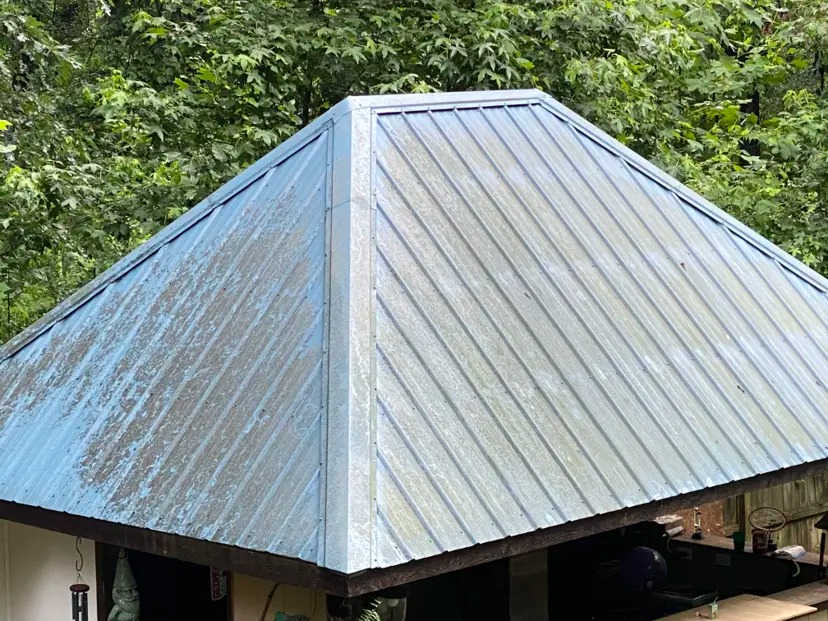 Roof Cleaning - Before